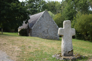 Désinsectisation dératisation La Chapelle-sur-Erdre